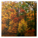 Search for orange tree tiles Trees
