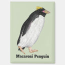 Search for extinct magnets Nature