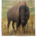 Search for bison shower curtains Buffalo