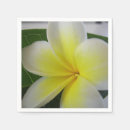Recherche de frangipani Photographie