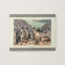 Search for antarctic puzzles Penguin
