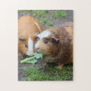 Search for pig puzzles Pet
