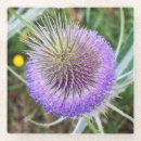 Recherche de chardon dessous de verres Nature