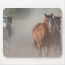 Recherche de mustang sauvage tapis souris Animal