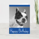 Recherche de french bulldog puppy cards Chien