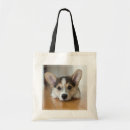 Search for corgi bags Cute