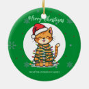 Search for bright ornaments Cat