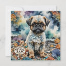 Search for brussels griffons cards Cute