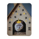 Recherche de unique de chat magnets Félin