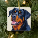 Recherche de rottweiler ornements Chiot