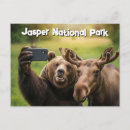 Recherche de ours cartes postales Canadien