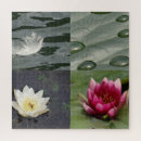 Search for nature puzzles Cool