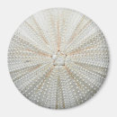 Recherche de oursin magnets Océan