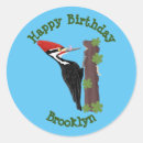 Search for woodpecker stickers Cute