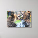 Search for sparring posters Wildlife