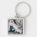 Search for arctic fox keychains Ice