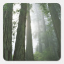Search for redwood national park stickers Forest