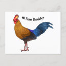 Recherche de jungles cartes postales Oiseau