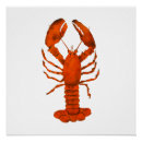 Search for lobster art Red