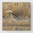 Search for great wall Great blue heron