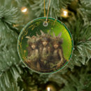 Search for mystical ornaments Enchanted forest