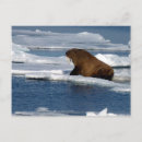 Recherche de climat vœux cartes Arctique