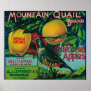 Recherche de cailles posters Montagne