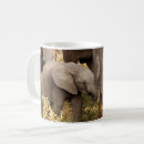 Search for animal conservation mugs African elephant