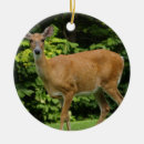 Search for buck ornaments Deers