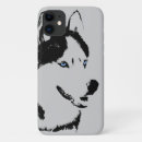 Recherche de enroué Malamute d'alaska