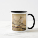 Search for mourning mugs Wildlife