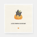 Recherche de chat et citrouille Chaton