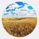 Search for crop stickers Colour