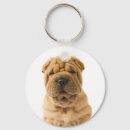Search for shar pei keychains Puppies