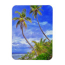 Recherche de île tropicale magnets Palmiers