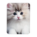 Recherche de de chaton magnets Animal de compagnie