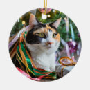Search for orange and white cat ornaments Calico