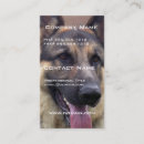 Recherche de image de chien cartes visite Berger allemand