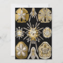 Recherche de oursin invitations Coquillages