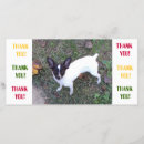 Recherche de rat vœux cartes Terrier
