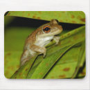 Search for tree frog mousepads Toad