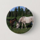 Recherche de poulain de cheval badges L'eau