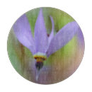 Recherche de lavande planches à découper Botanique