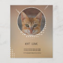 Search for poster flyers Cat