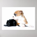 Search for british animal posters Cute
