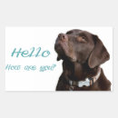 Search for chocolate lab puppy stickers Puppies