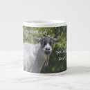 Search for goats mugs Country