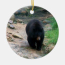 Search for black bear ornaments Nature