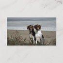Search for pointer business cards German shorthaired pointer