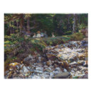 Recherche de singe posters Paysage